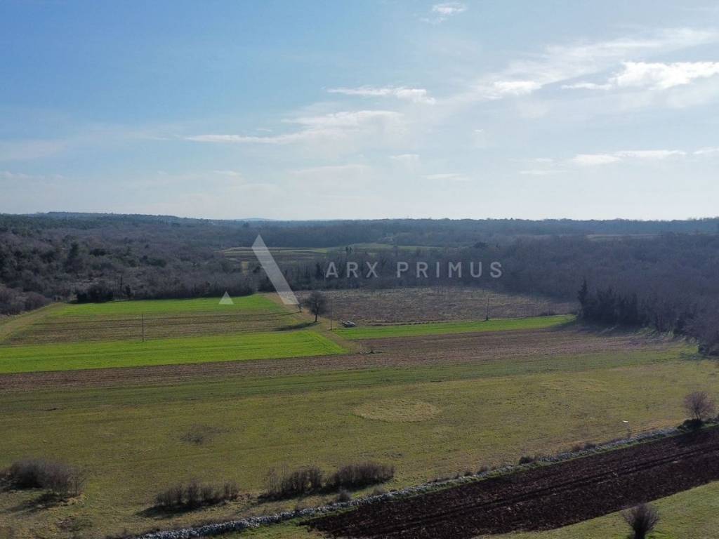 Poljoprivredno zemljište, Prodaja, Umag, Umag