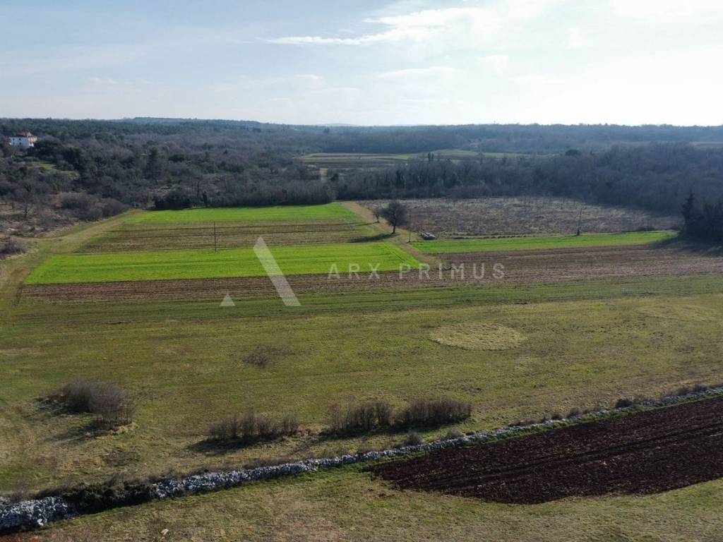 Poljoprivredno zemljište, Prodaja, Umag, Umag