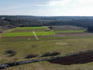 Poljoprivredno zemljište, Prodaja, Umag, Umag