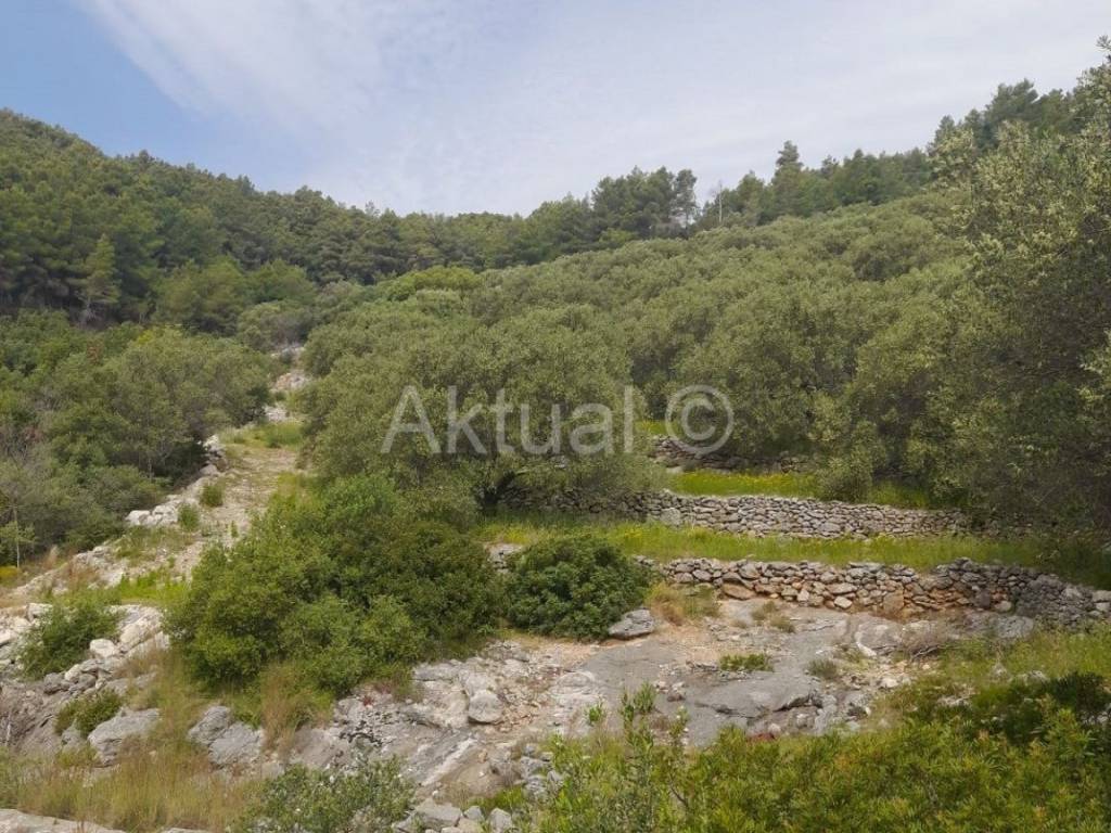Poljoprivredno zemljište, Prodaja, Blato, Prižba