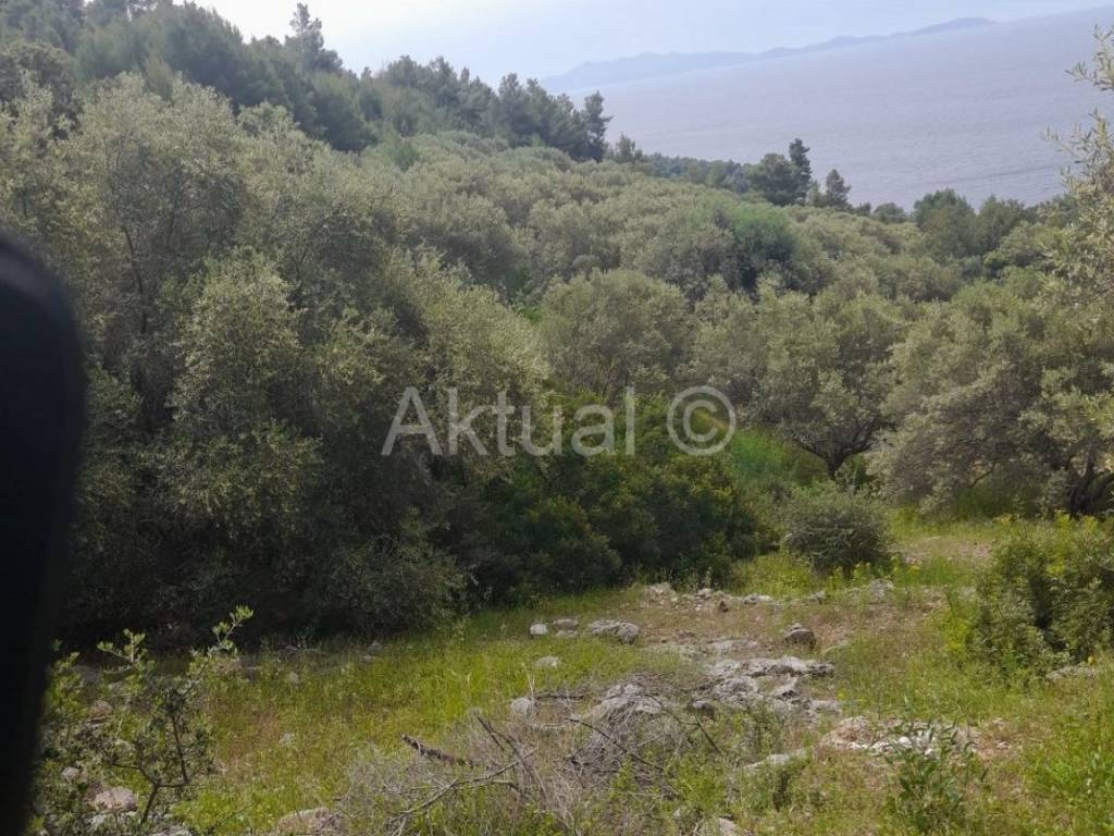 Poljoprivredno zemljište, Prodaja, Blato, Prižba