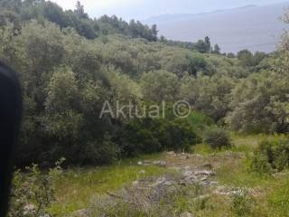 Poljoprivredno zemljište, Prodaja, Blato, Prižba