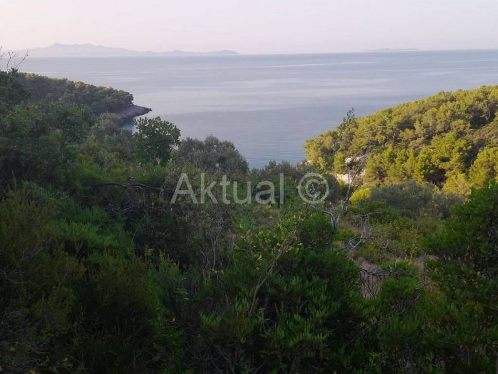 Poljoprivredno zemljište, Prodaja, Blato, Prižba