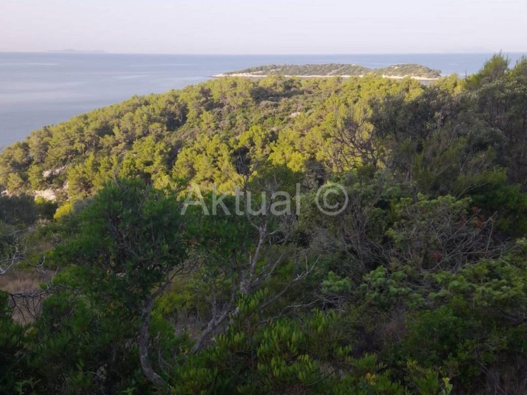 Poljoprivredno zemljište, Prodaja, Blato, Prižba