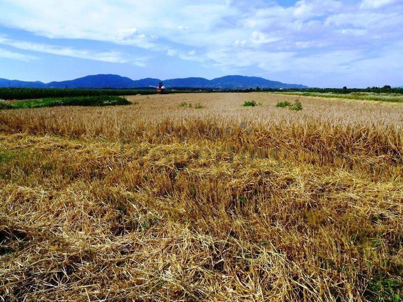 Poljoprivredno zemljište, Prodaja, Jastrebarsko - Okolica, Cvetković