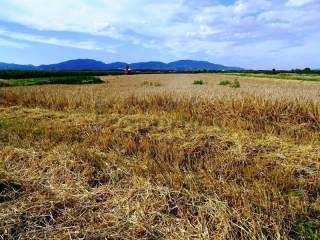 Poljoprivredno zemljište, Prodaja, Jastrebarsko - Okolica, Cvetković