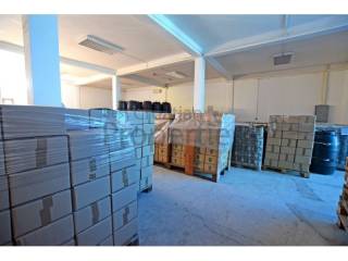 Proizvodno skladišni, Prodaja, Zadar, Zadar