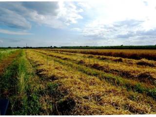Poljoprivredno zemljište, Prodaja, Jastrebarsko - Okolica, Cvetković