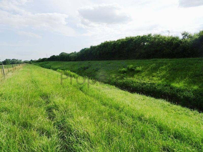 Poljoprivredno zemljište, Prodaja, Jastrebarsko - Okolica, Cvetković