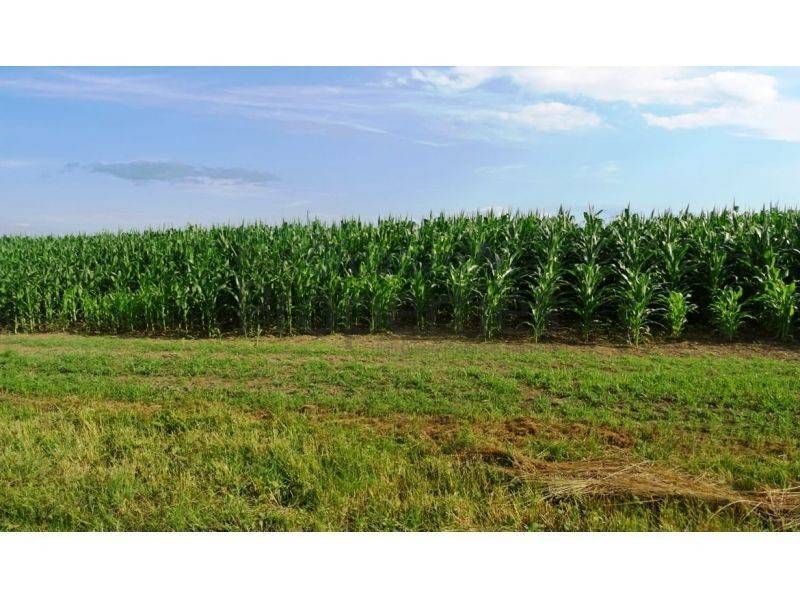 Poljoprivredno zemljište, Prodaja, Jastrebarsko - Okolica, Cvetković