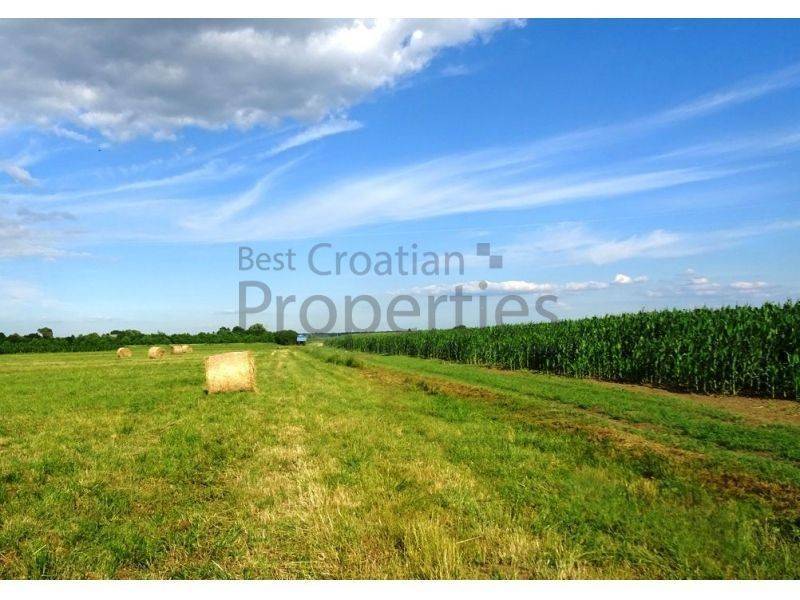 Poljoprivredno zemljište, Prodaja, Jastrebarsko - Okolica, Cvetković