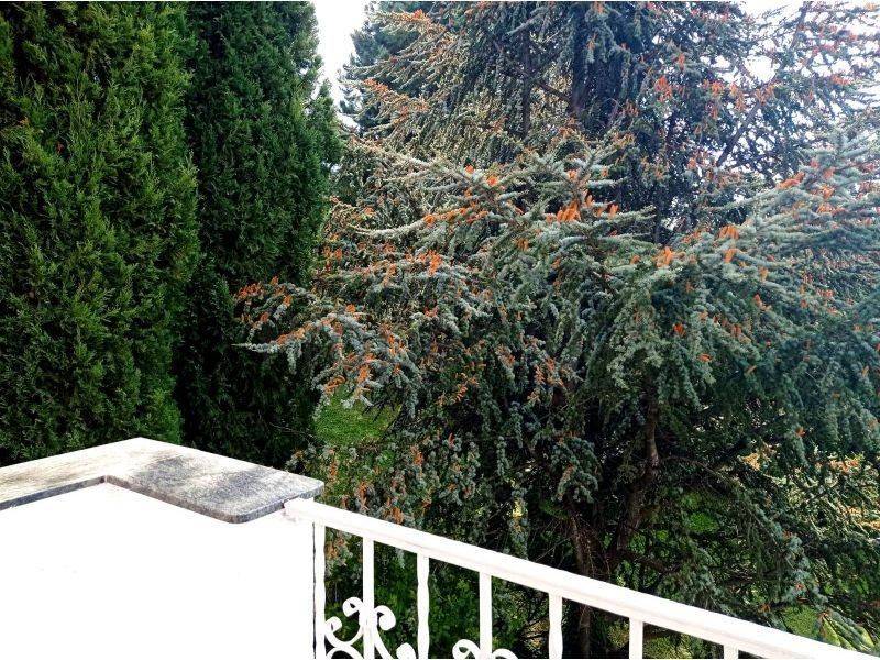 Vila, Prodaja, Zagreb, Podsljeme