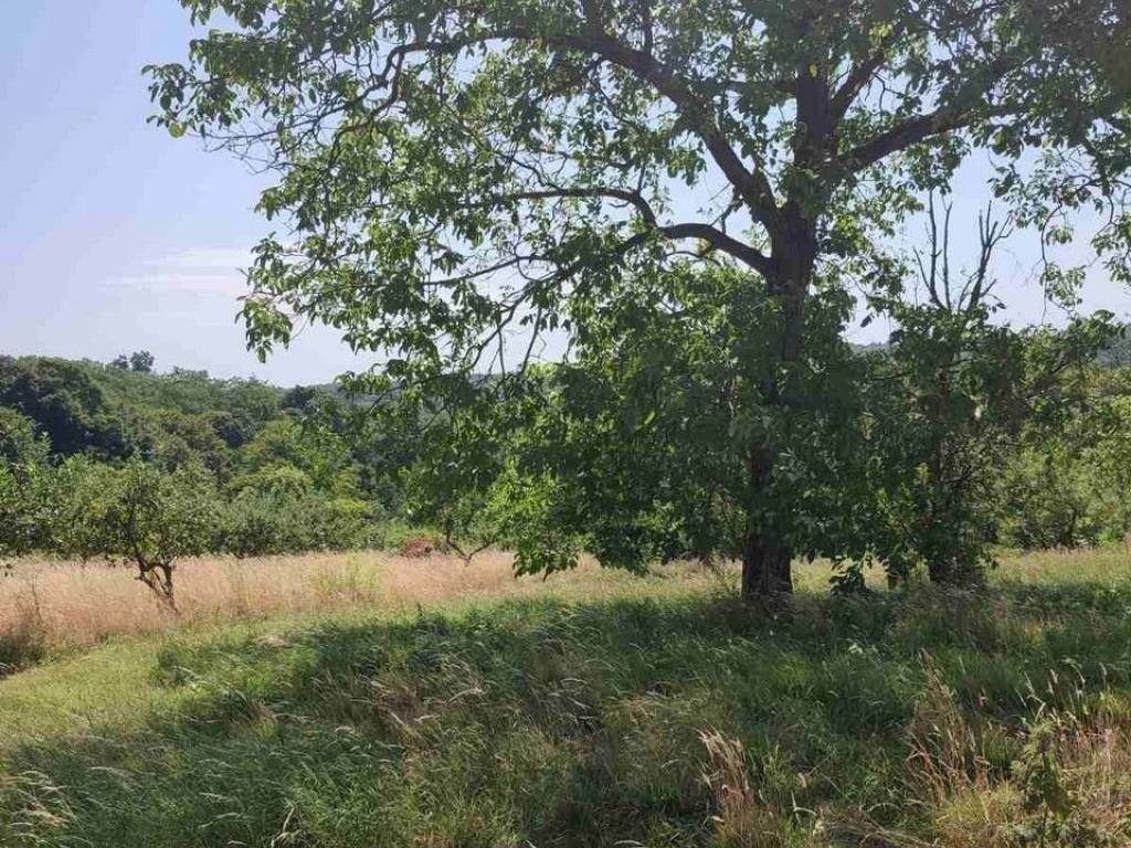 Građevinsko mješovito, Prodaja, Selnica, Praporčan