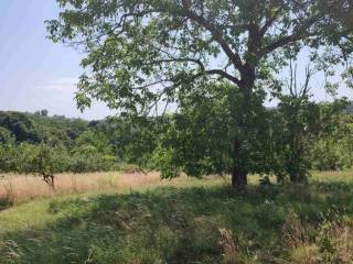 Građevinsko mješovito, Prodaja, Selnica, Praporčan