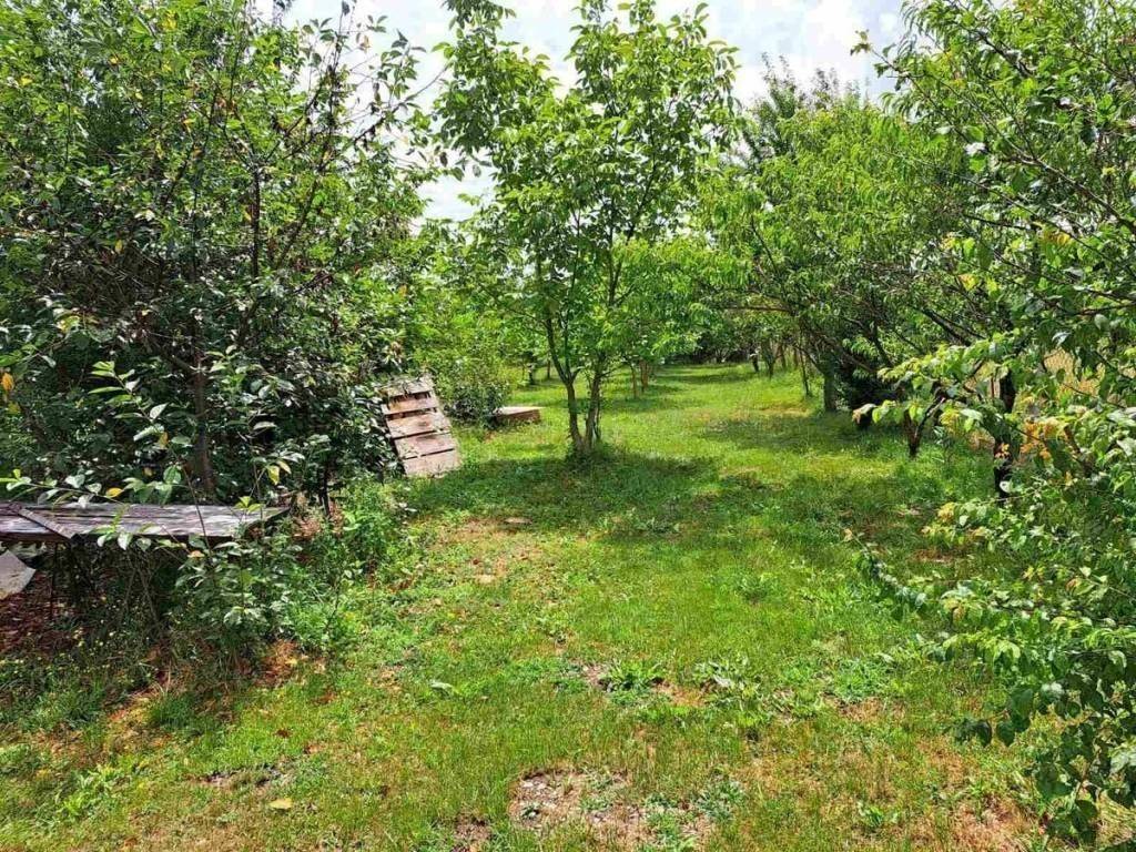 Poljoprivredno zemljište, Prodaja, Nedelišće, Dunjkovec