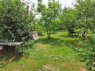 Poljoprivredno zemljište, Prodaja, Nedelišće, Dunjkovec