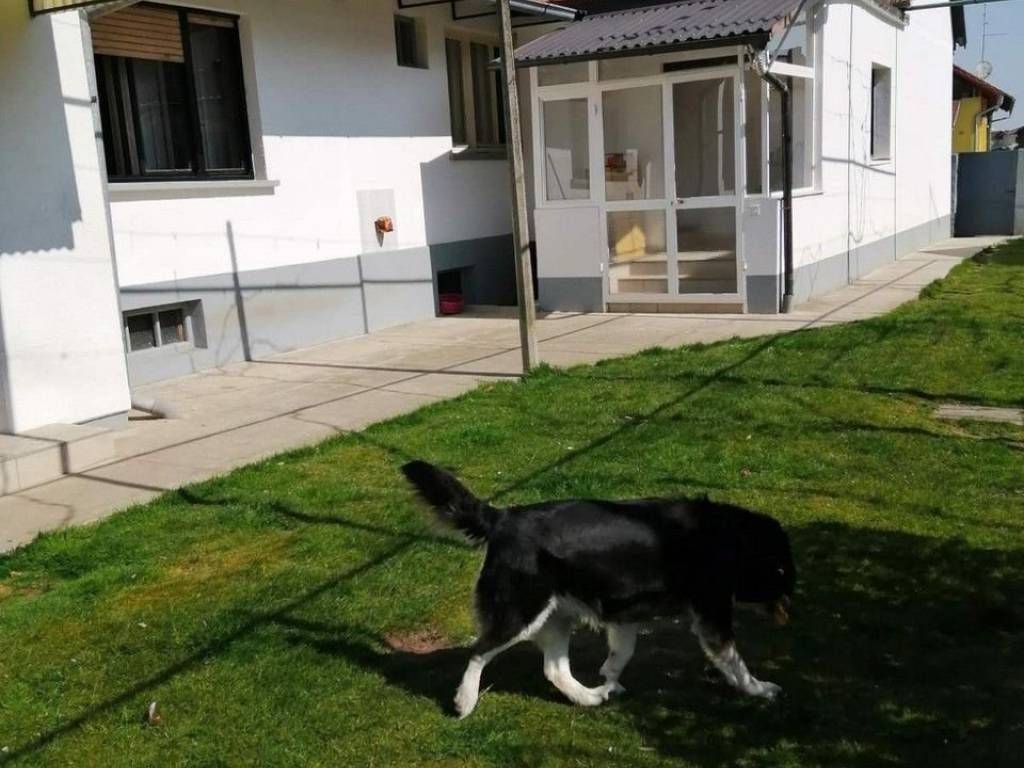 Kuća prizemnica, Prodaja, Čakovec - Okolica, Savska Ves