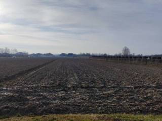 Građevinsko zemljište, Prodaja, Prelog, Cirkovljan