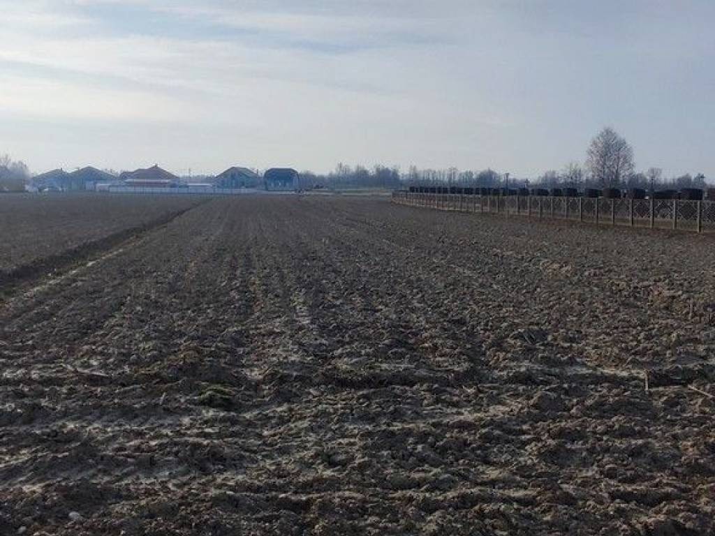 Građevinsko zemljište, Prodaja, Prelog, Cirkovljan