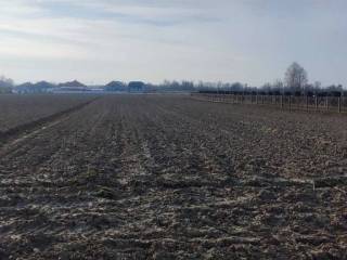 Građevinsko zemljište, Prodaja, Prelog, Cirkovljan