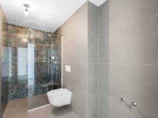 Vila, Prodaja, Vižinada, Ferenci