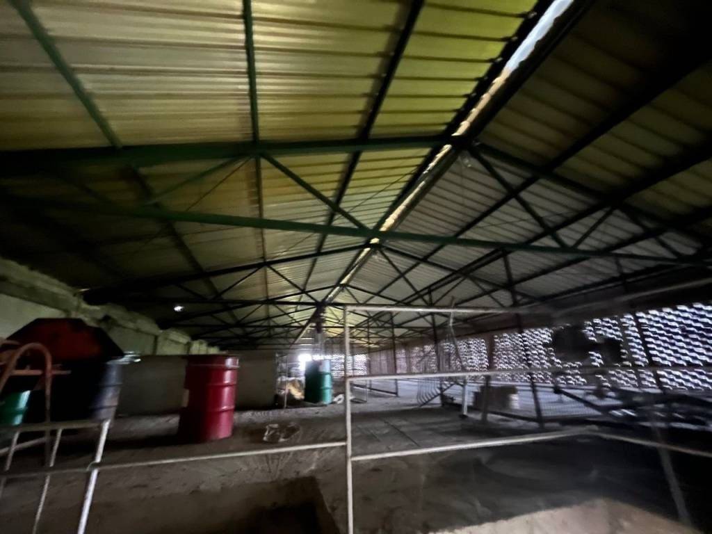 Obiteljska kuća, Prodaja, Pribislavec, Pribislavec