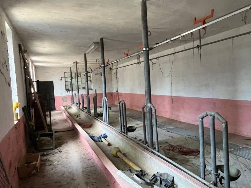 Obiteljska kuća, Prodaja, Pribislavec, Pribislavec