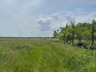 Obiteljska kuća, Prodaja, Pribislavec, Pribislavec