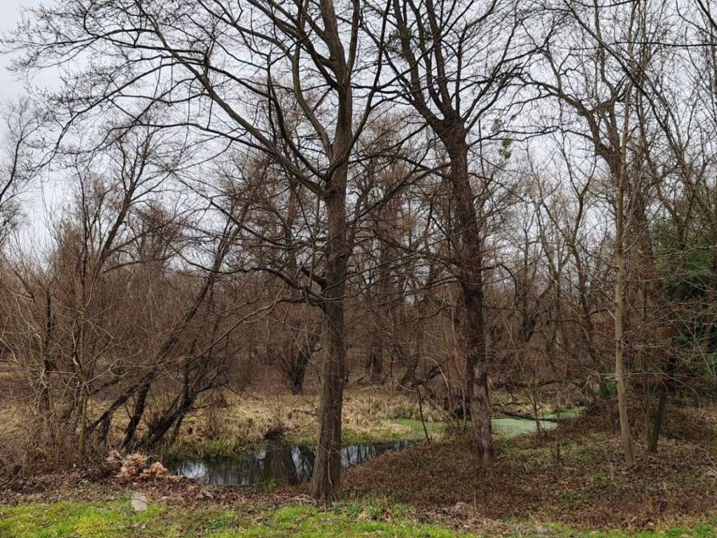 Kuća prizemnica, Prodaja, Mursko središće, Mursko Središće