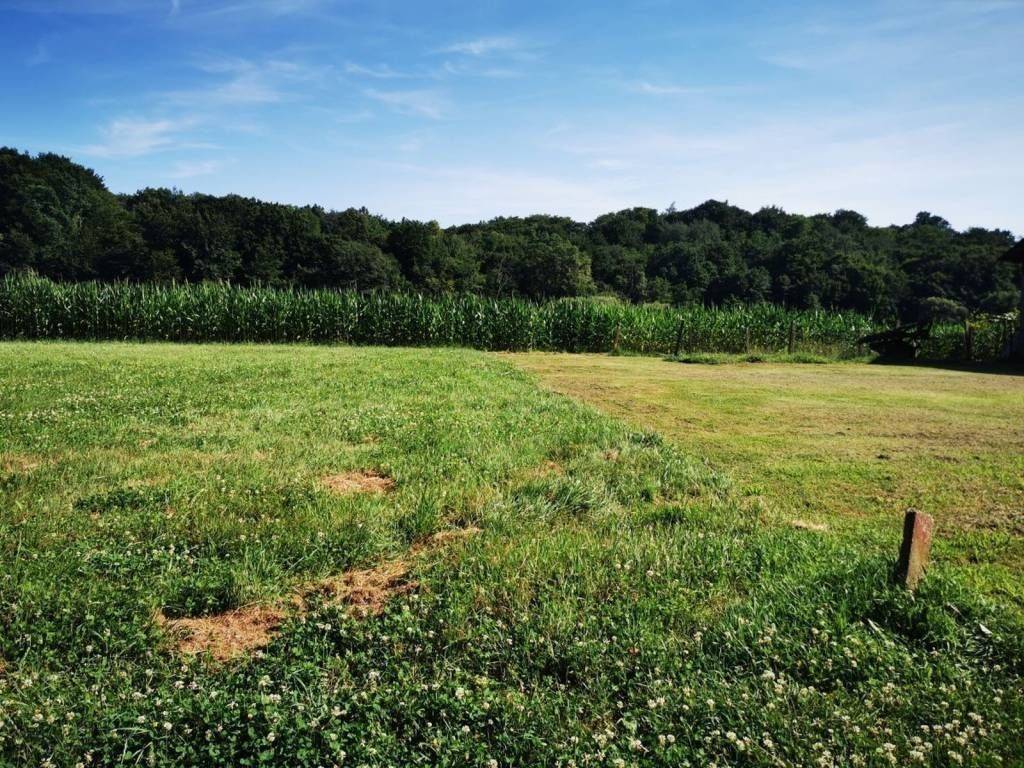 Građevinsko mješovito, Prodaja, Sveti Martin na Muri, Gradiščak