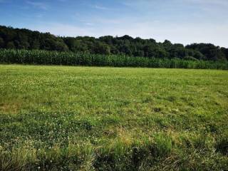 Građevinsko mješovito, Prodaja, Sveti Martin na Muri, Gradiščak