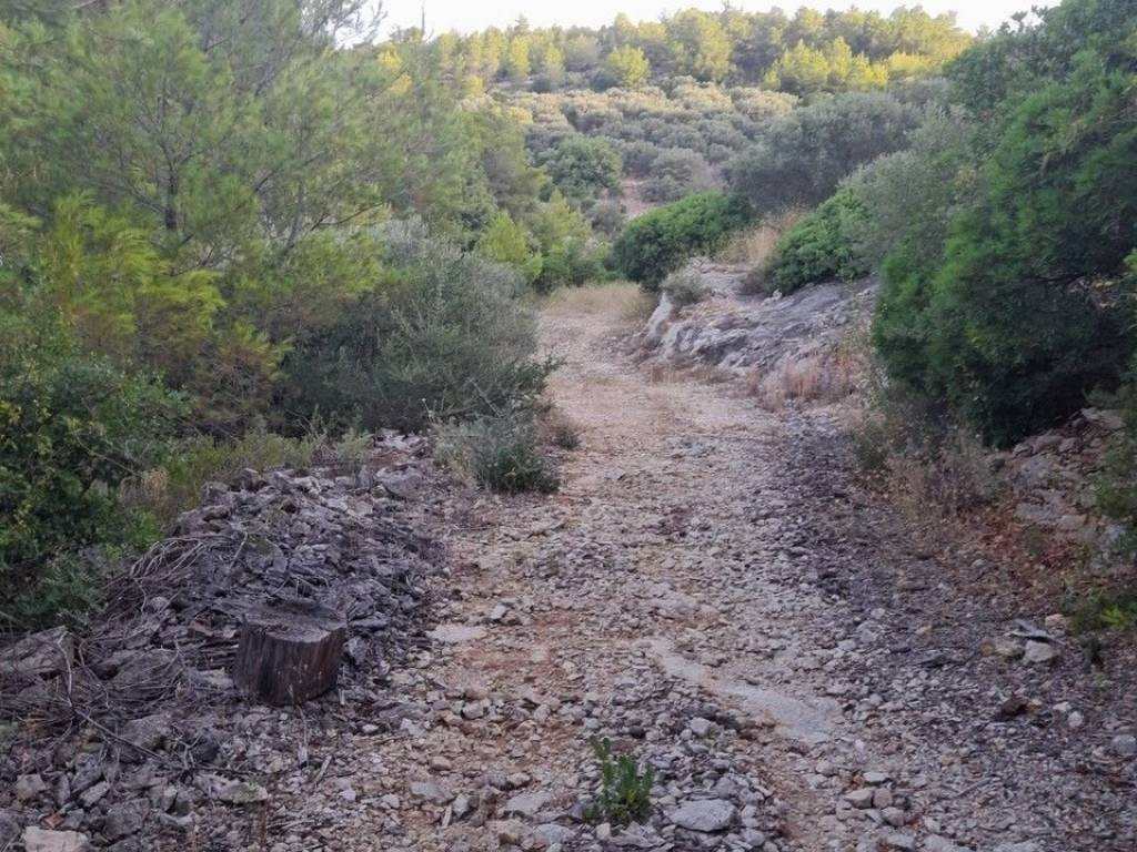 Građevinsko mješovito, Prodaja, Blato, Blato