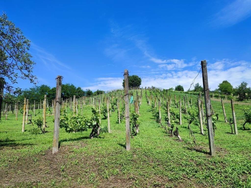 Vikend kuca, Prodaja, Sveti Martin na Muri, Gradišcak