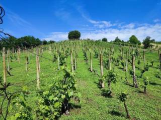 Vikend kuca, Prodaja, Sveti Martin na Muri, Gradišcak