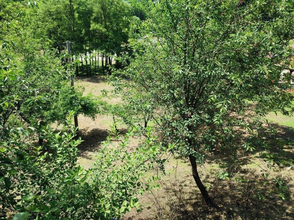 Vikend kuca, Prodaja, Sveti Martin na Muri, Gradišcak