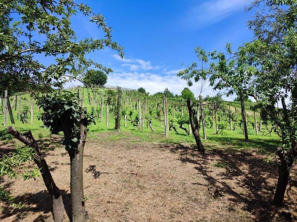 Vikend kuca, Prodaja, Sveti Martin na Muri, Gradišcak