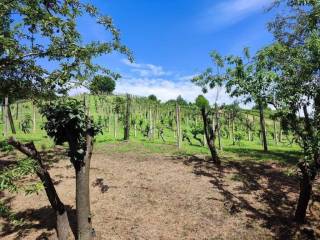 Vikend kuca, Prodaja, Sveti Martin na Muri, Gradišcak