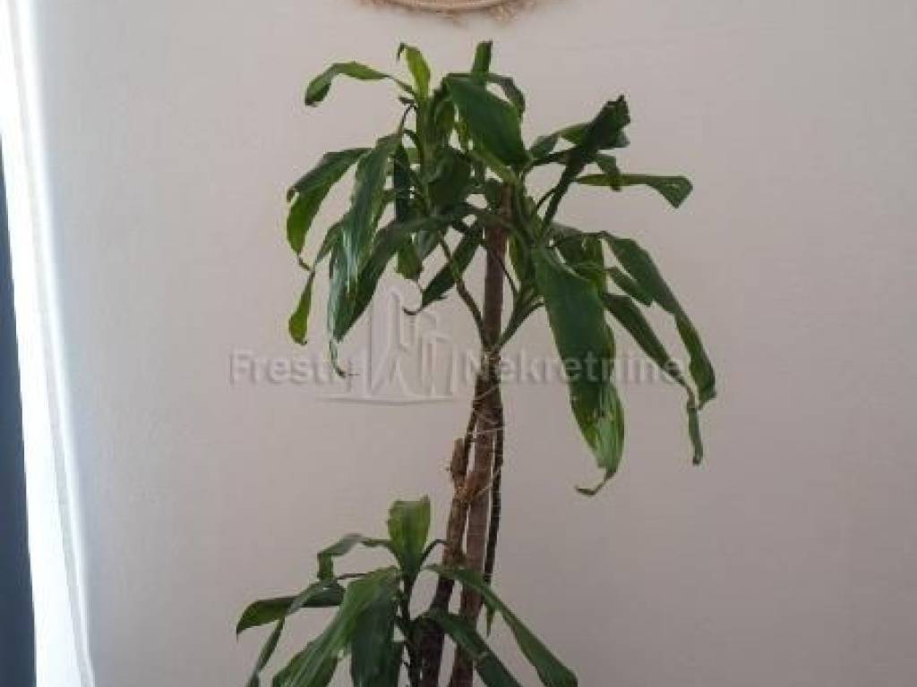 Nekretnina za odmor, Prodaja, Zadar, Zadar