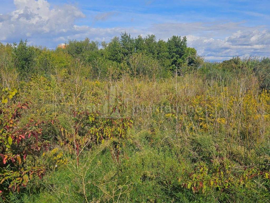 Građevinsko zemljište, Prodaja, Pašman, Banj