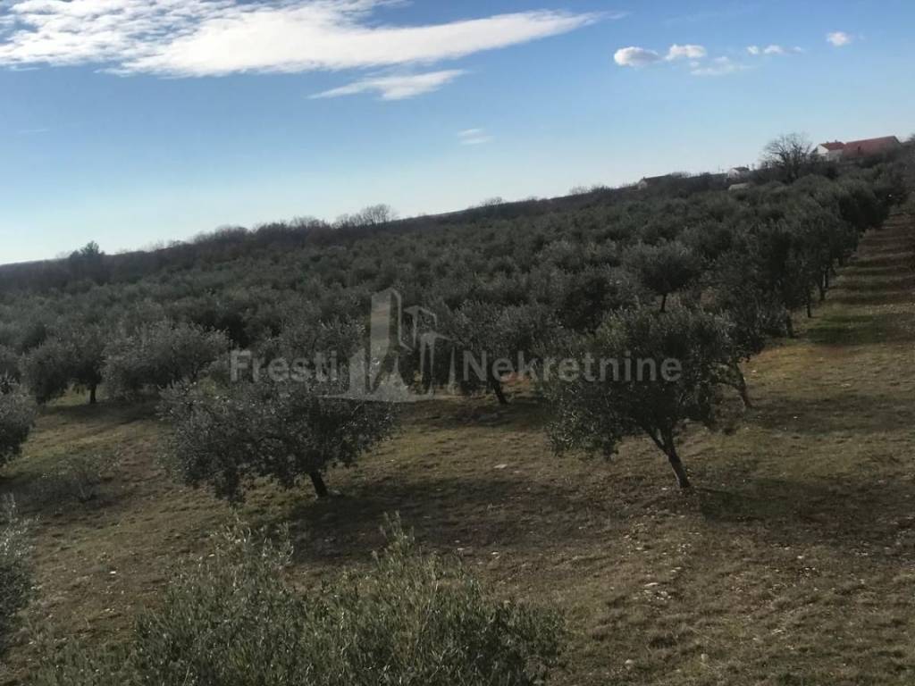 Poljoprivredno zemljište, Prodaja, Benkovac, Donji Lepuri