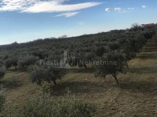 Poljoprivredno zemljište, Prodaja, Benkovac, Donji Lepuri