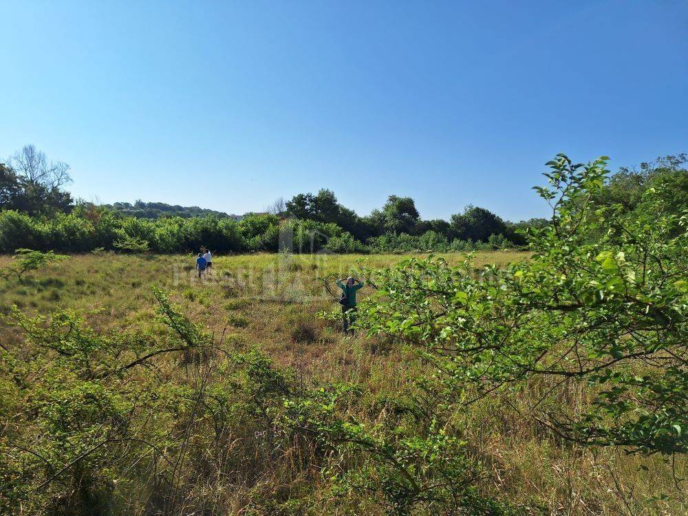 Poljoprivredno zemljište, Prodaja, Poličnik, Briševo
