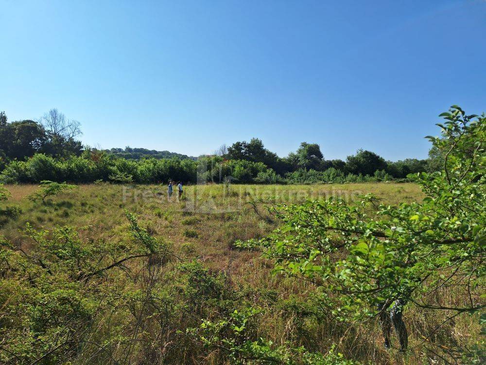 Poljoprivredno zemljište, Prodaja, Poličnik, Briševo