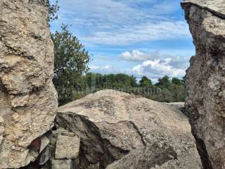 Samostojeća kuća, Prodaja, Zadar, Zadar