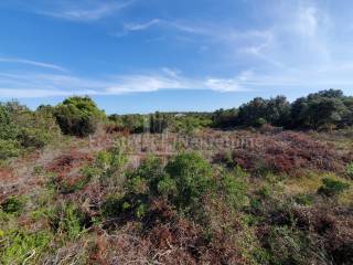 Građevinsko zemljište, Prodaja, Zadar, Zadar