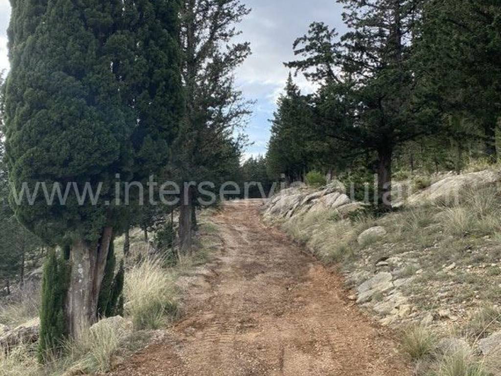 Poljoprivredno zemljište, Prodaja, Drniš, Drniš