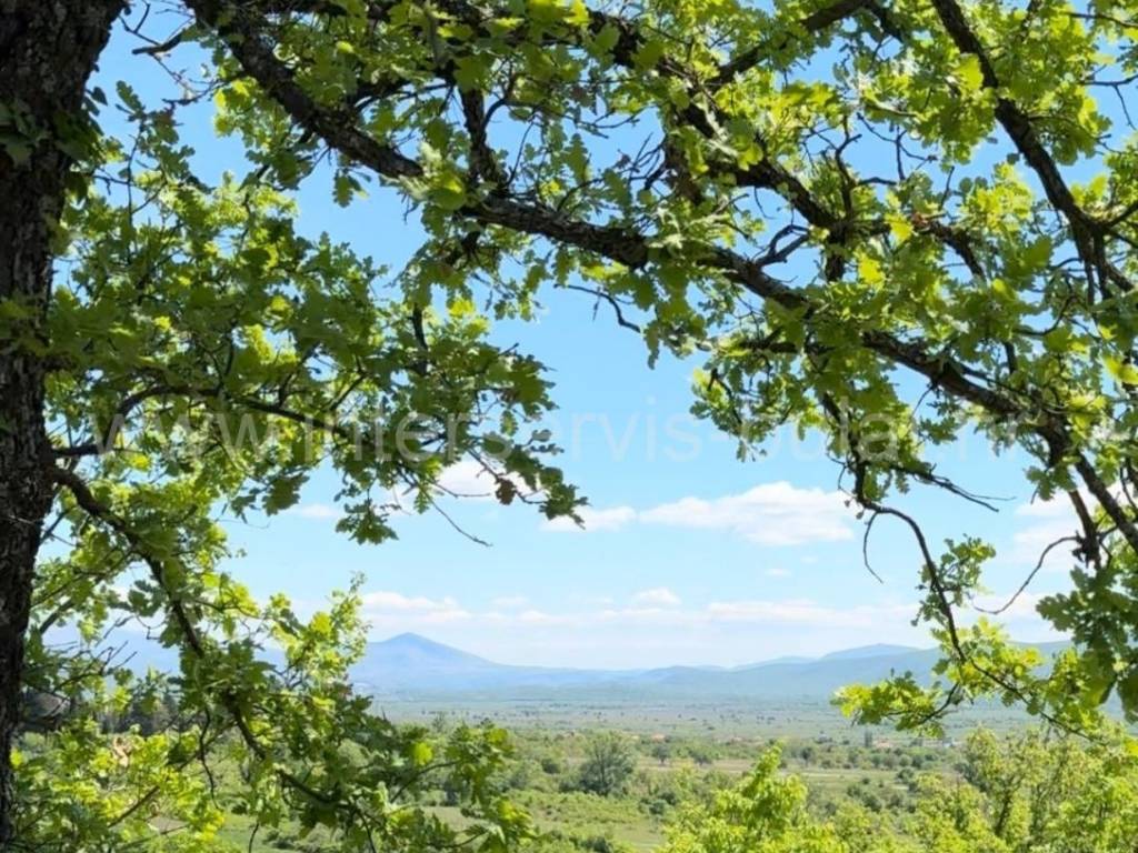 Poljoprivredno zemljište, Prodaja, Drniš, Drniš