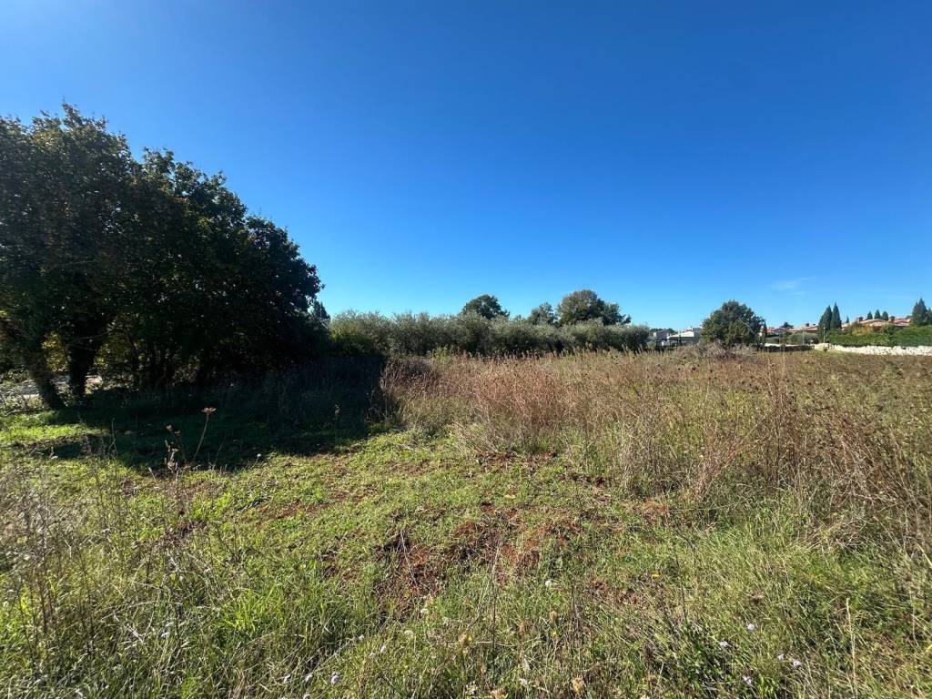 Građevinsko zemljište, Prodaja, Tar-Vabriga, Vabriga