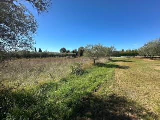 Građevinsko zemljište, Prodaja, Tar-Vabriga, Vabriga