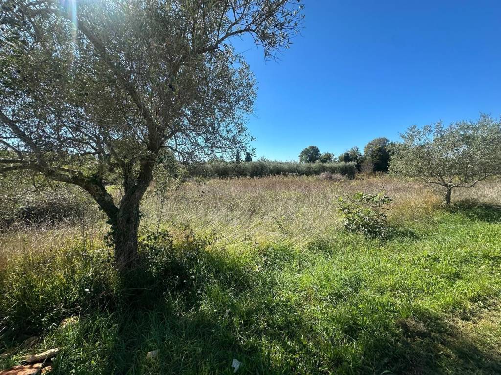 Građevinsko zemljište, Prodaja, Tar-Vabriga, Vabriga